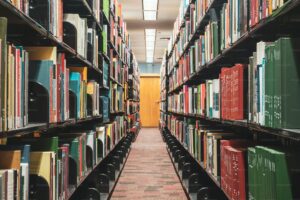 Scopri di più sull'articolo BIBLIOTECA COMUNALE – REALIZZAZIONE