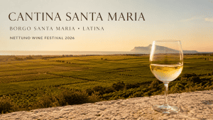 Scopri di più sull'articolo Cantina Santa Maria: la Malvasia Puntinata dell’Agro Pontino