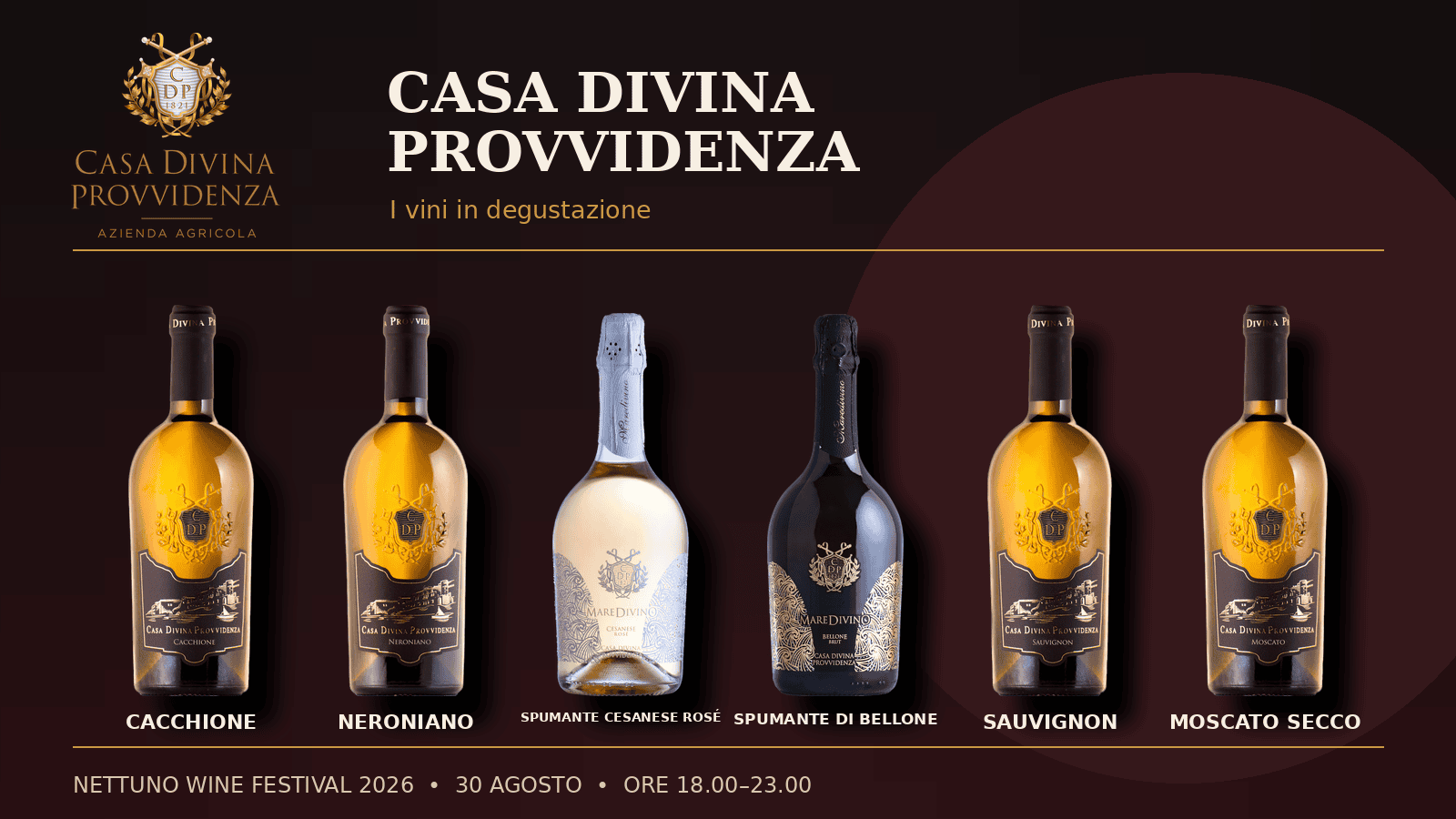 Scopri di più sull'articolo Casa Divina Provvidenza